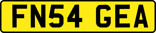 FN54GEA