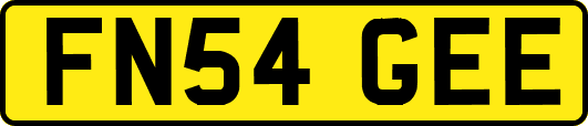 FN54GEE