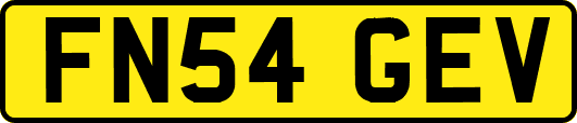 FN54GEV