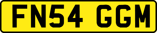 FN54GGM