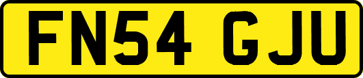 FN54GJU