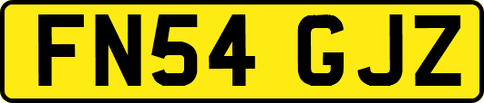 FN54GJZ