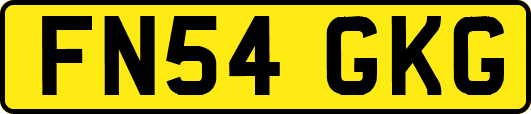 FN54GKG