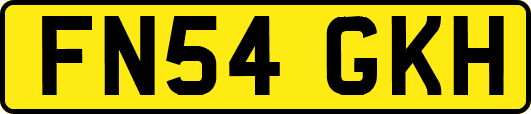 FN54GKH