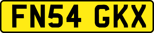 FN54GKX