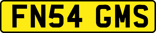 FN54GMS