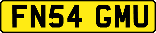 FN54GMU