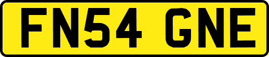 FN54GNE