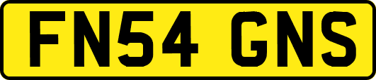 FN54GNS