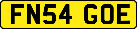 FN54GOE