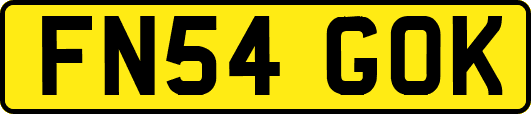 FN54GOK