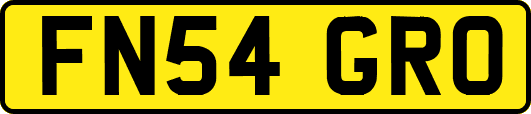 FN54GRO