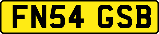 FN54GSB