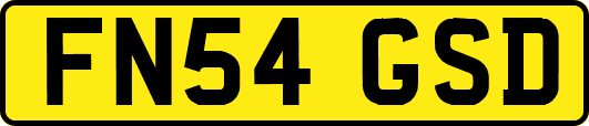 FN54GSD