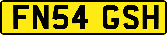 FN54GSH