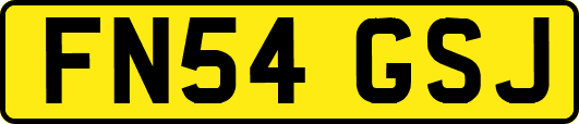FN54GSJ