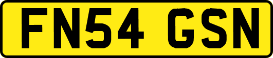 FN54GSN