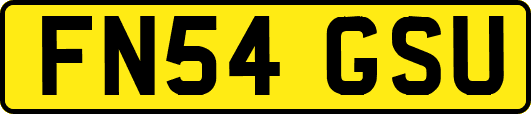 FN54GSU