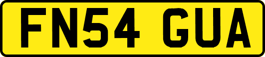 FN54GUA