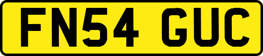 FN54GUC