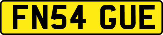 FN54GUE