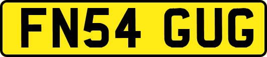 FN54GUG