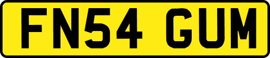 FN54GUM