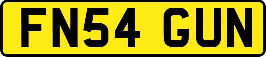 FN54GUN