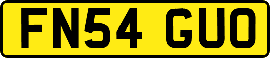 FN54GUO
