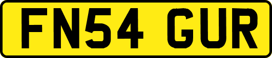 FN54GUR
