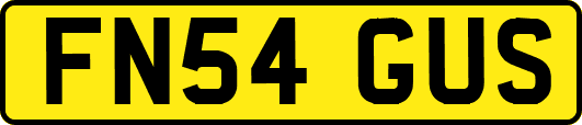 FN54GUS