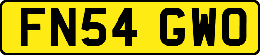 FN54GWO