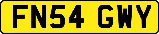 FN54GWY