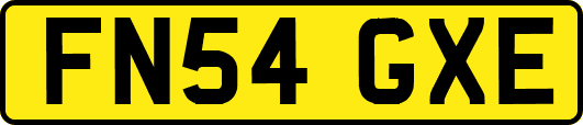 FN54GXE