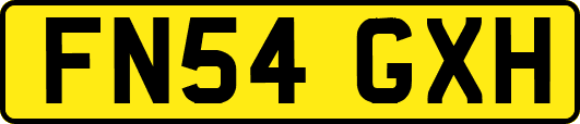 FN54GXH