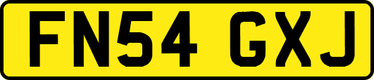 FN54GXJ