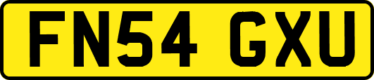 FN54GXU