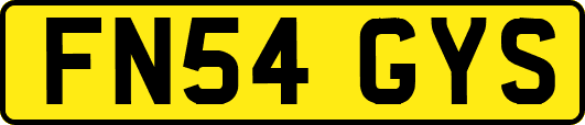 FN54GYS