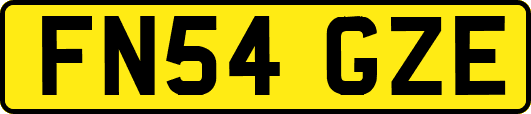 FN54GZE