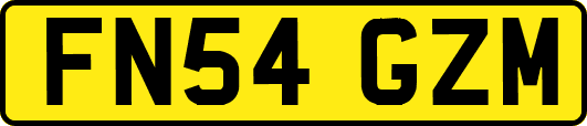FN54GZM