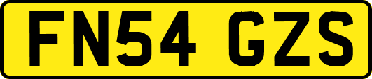 FN54GZS