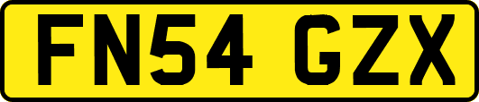 FN54GZX