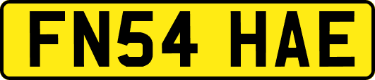 FN54HAE