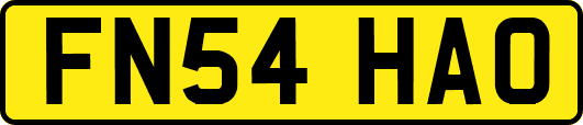FN54HAO