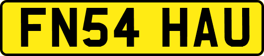 FN54HAU