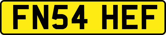 FN54HEF