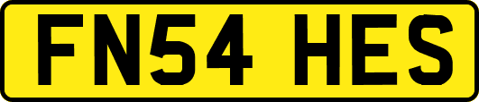 FN54HES