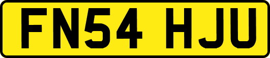 FN54HJU