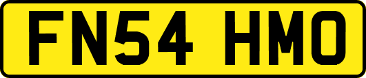 FN54HMO