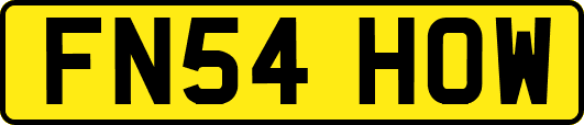 FN54HOW